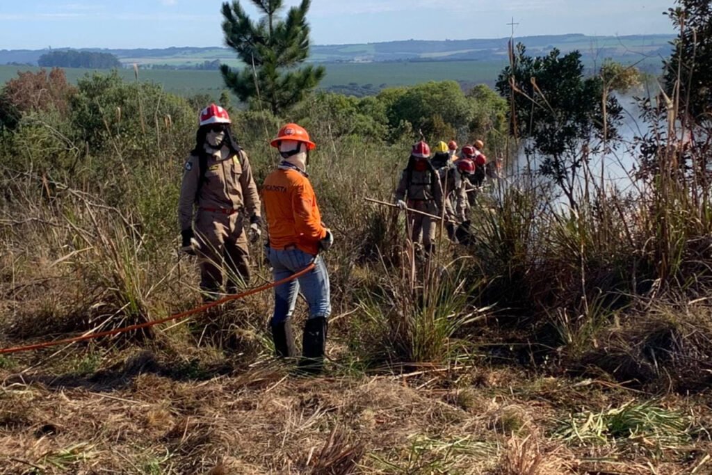 voluntarios_-_luciane_4_0 thumbnail