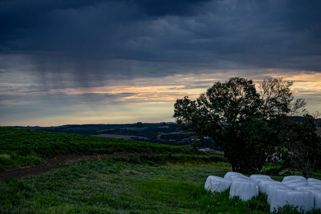 Pitanga, 20 de fevereiro de 2026 – Chuva no horizonte sobre o campo. thumbnail